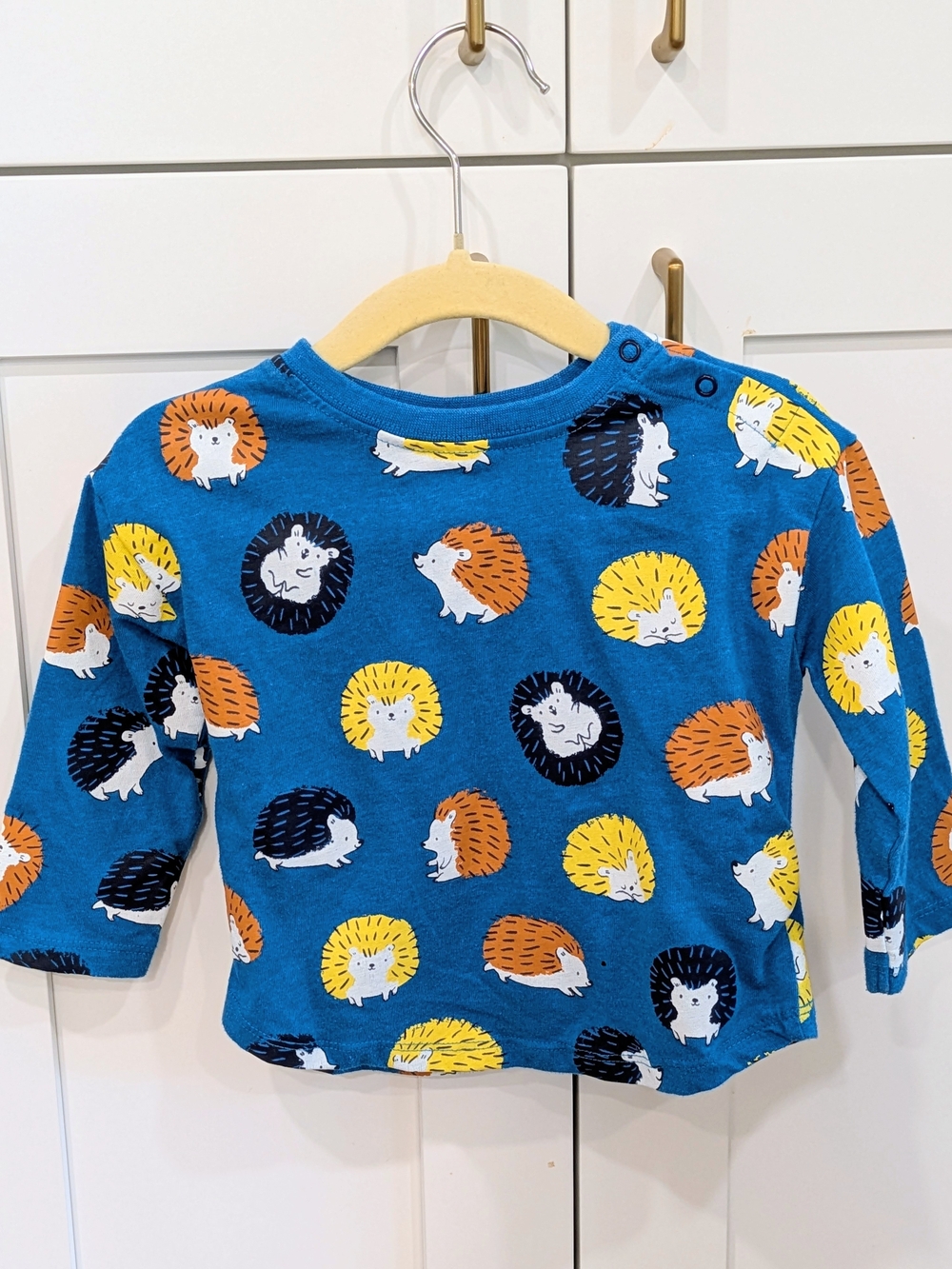 Hatley Blue Long-Sleeve Tee with Colourful Hedgehog Print